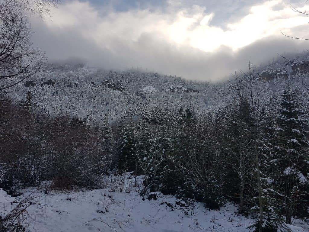 The first snow in Bredhi i Drenovës on 12th December 2019 - photo: Iljon Thanas