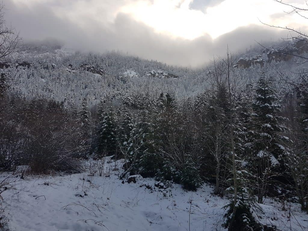 Der erste Schnee des Jahres im Bredhi i Drenovës Nationalpark am 12. Dezember 2019 - Foto: Iljon Thanas