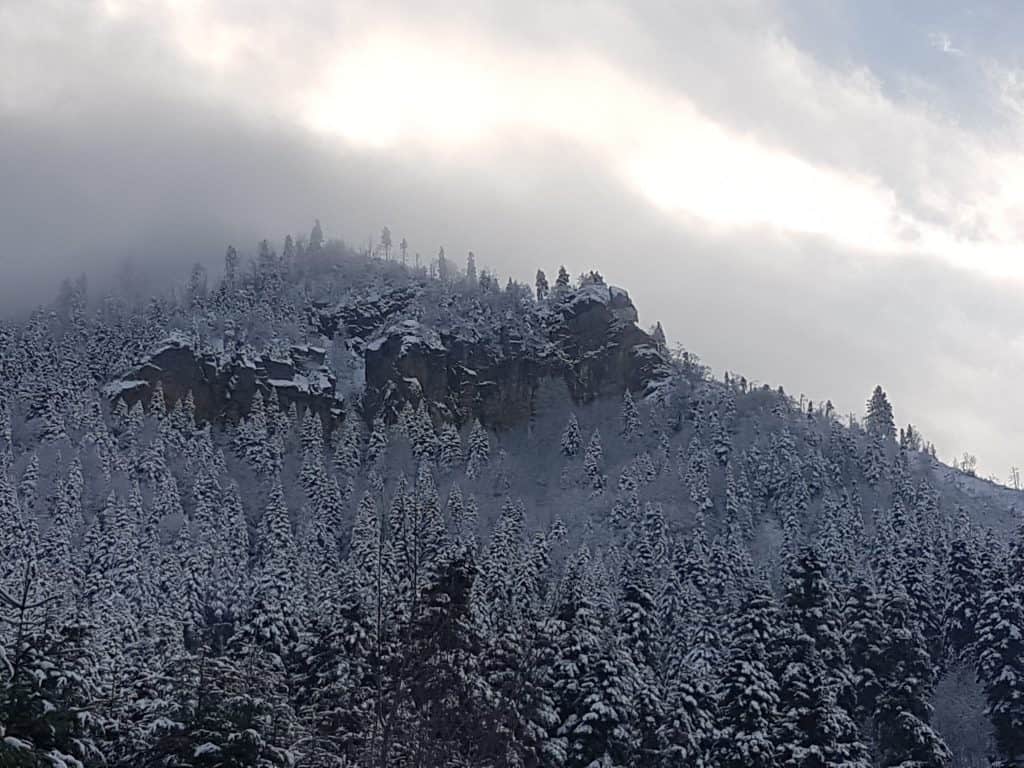 Der erste Schnee des Jahres im Bredhi i Drenovës Nationalpark am 12. Dezember 2019 - Foto: Iljon Thanas